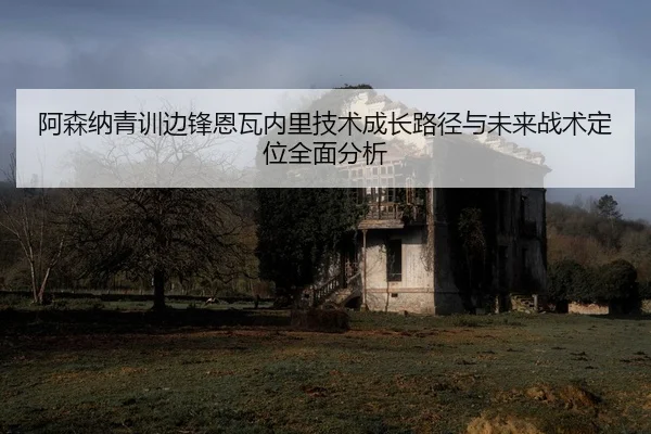 阿森纳青训边锋恩瓦内里技术成长路径与未来战术定位全面分析